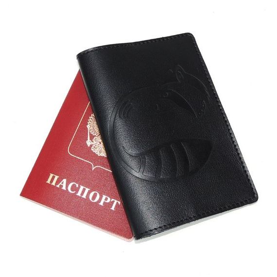прописка в Домодедово